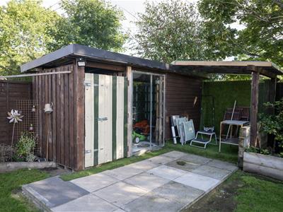Picture 15